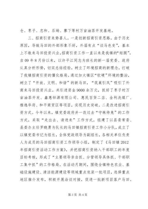 乡镇招商引资活动月开展情况汇报.docx