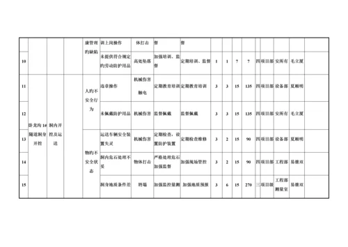 项目风险分级管控实施手册.docx