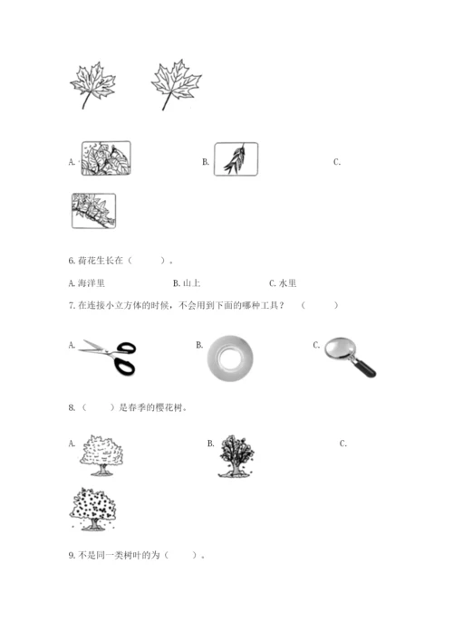 教科版一年级上册科学期末测试卷（考试直接用）.docx