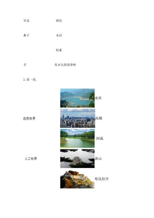 教科版科学二年级上册《期末测试卷》含完整答案（考点梳理）.docx