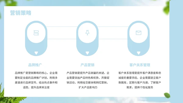 浅蓝色简约风饮品行业商业计划书