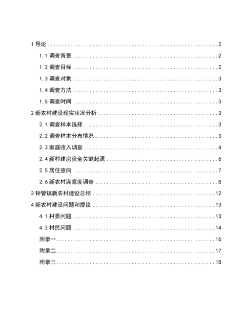 新农村建设专题调研研究报告.docx