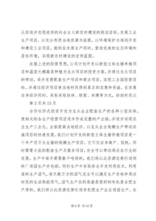 新农村建设计划书.docx