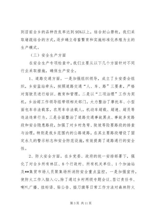 乡长个人履职尽职报告.docx