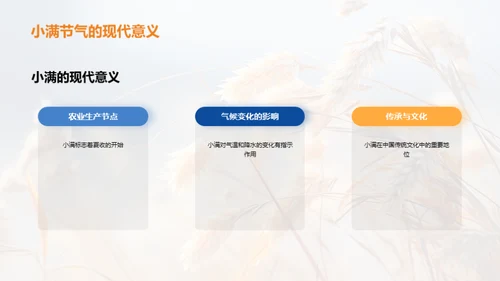小满节气全解析