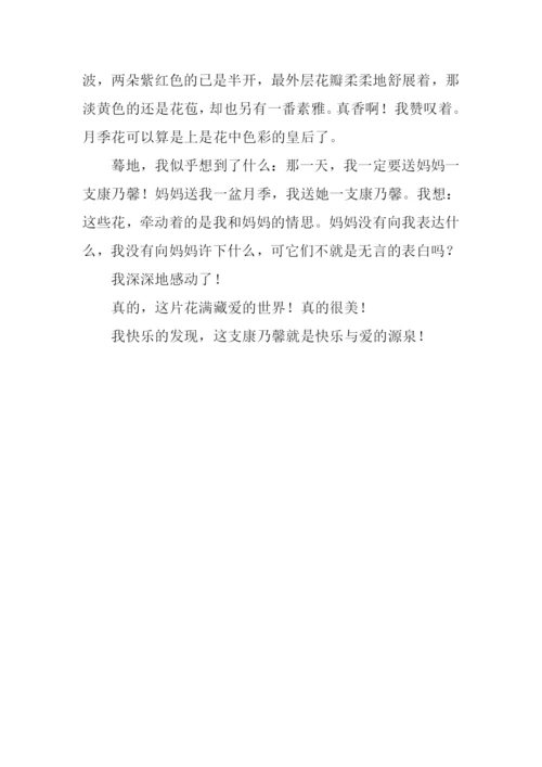 快乐是一支康乃馨作文600字.docx
