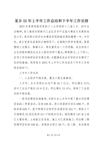 某乡XX年上半年工作总结和下半年工作安排 (2).docx