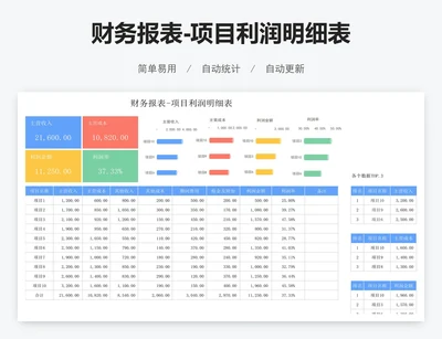 财务报表-项目利润明细表
