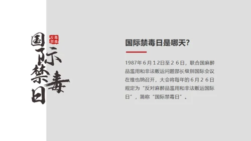 青少年禁毒宣传安全教育通用PPT模板