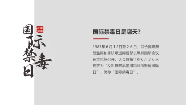 青少年禁毒宣传安全教育通用PPT模板