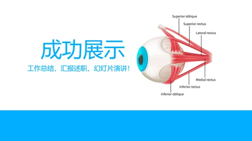 眼科工作总结与计划动态PPT