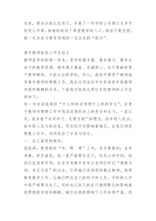 青年教师培养工作总结.docx