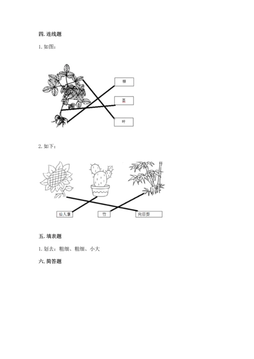 教科版科学一年级上册第一单元《植物》测试卷含完整答案【必刷】.docx