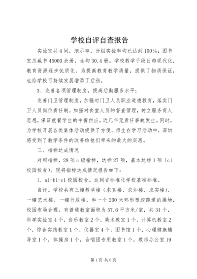 学校自评自查报告 (5).docx