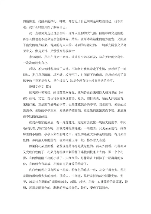 说明文作文集锦8篇