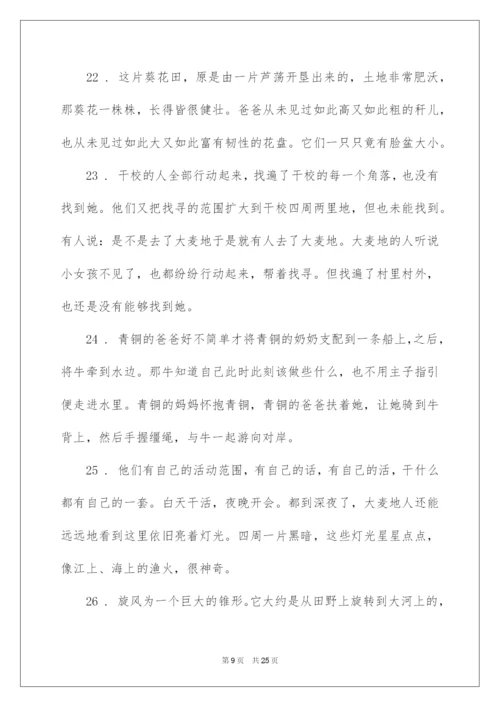 2022《青铜葵花》好词好句.docx