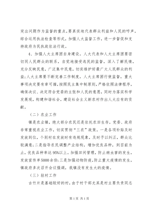 乡镇人大主席述职述廉报告 (3).docx