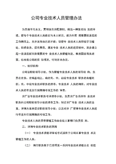 公司专业技术人员管理办法