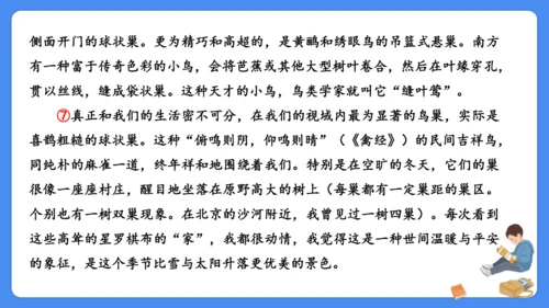 期末专项复习 说明文阅读复习（课件）-2024-2025学年语文五年级上册（统编版）