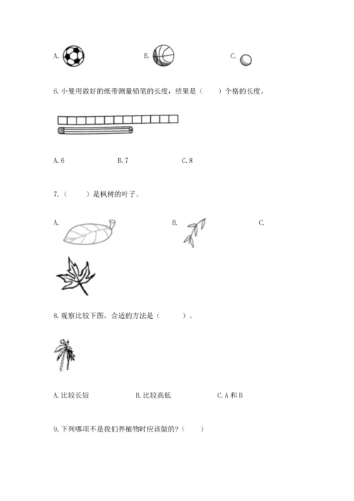 教科版一年级上册科学期末测试卷附参考答案（轻巧夺冠）.docx