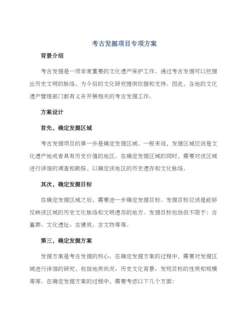 考古发掘项目专项方案.docx