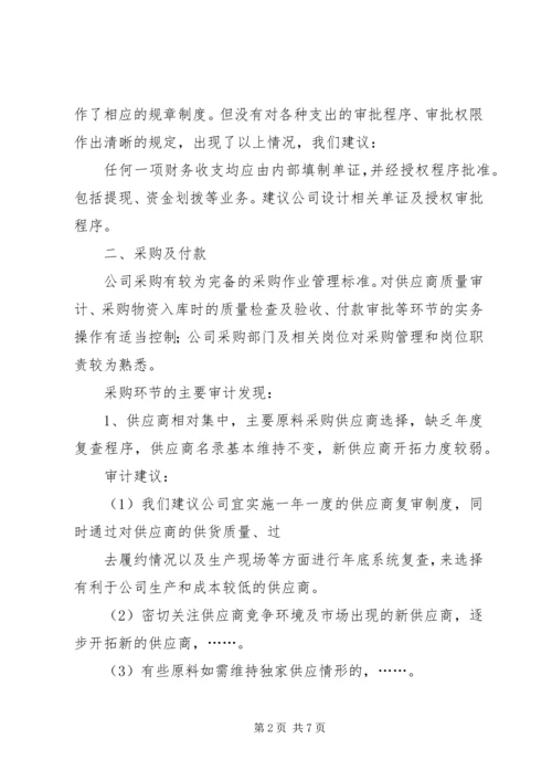 企业内部控制审计报告(3)_1.docx