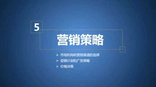 蓝色融资商业创业计划书通用PPT模板