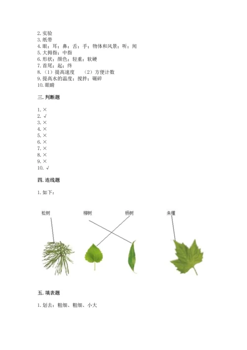 教科版小学一年级上册科学期末测试卷及参考答案【达标题】.docx