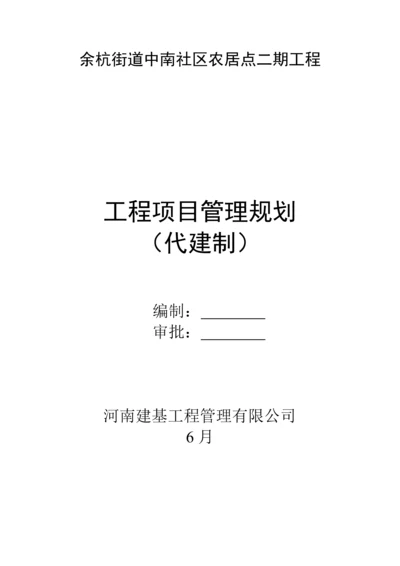 关键工程代建工作专题方案.docx