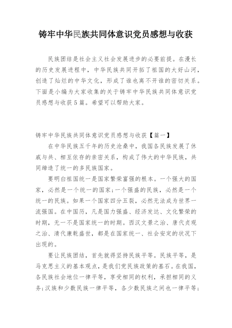铸牢中华民族共同体意识党员感想与收获.docx
