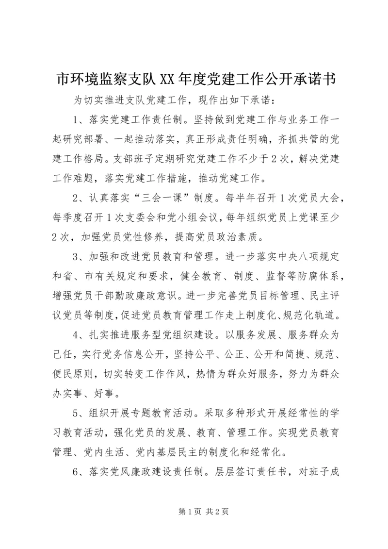 市环境监察支队XX年度党建工作公开承诺书.docx