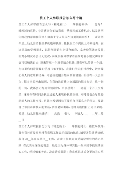 员工个人辞职报告怎么写十篇.docx