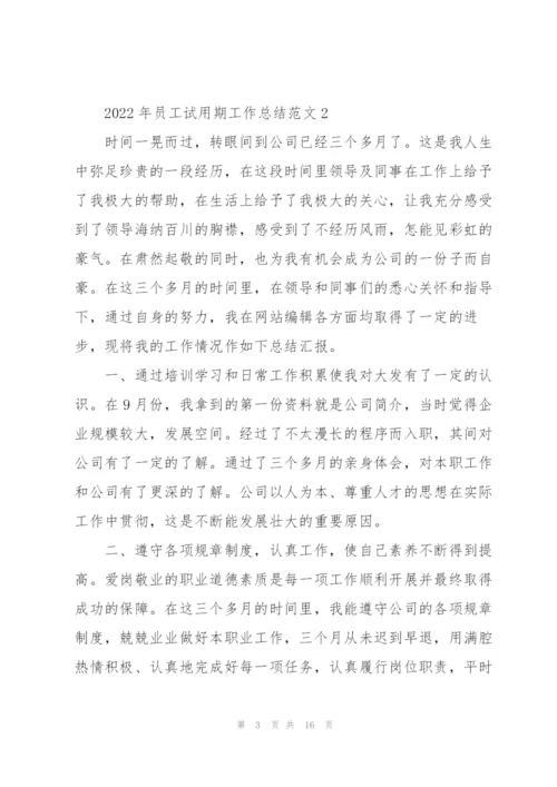 2022年员工试用期工作总结范文.docx