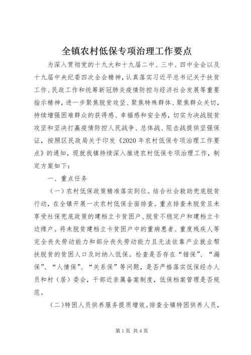 全镇农村低保专项治理工作要点.docx