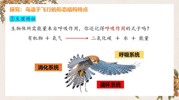 人教版生物八年级上册5.1.6《鸟》课件(共27张PPT)