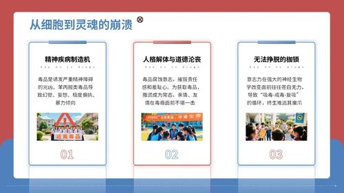红蓝配色简约禁毒知识宣传PPT模板