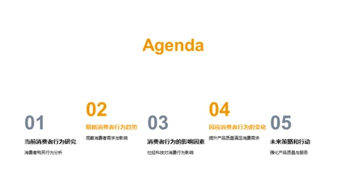 消费者行为洞察解析
