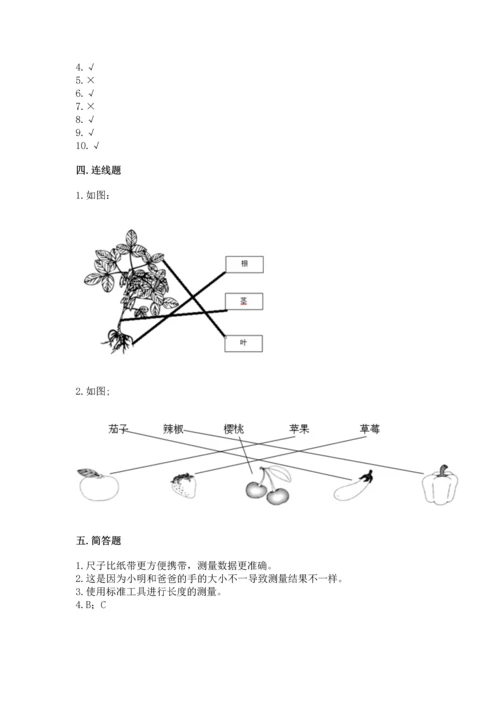 教科版一年级上册科学期末测试卷及下载答案.docx