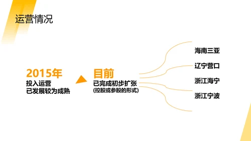 黄色简约风商业计划书PPT套装