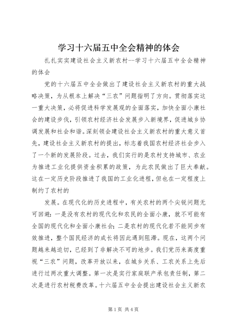 学习十六届五中全会精神的体会.docx