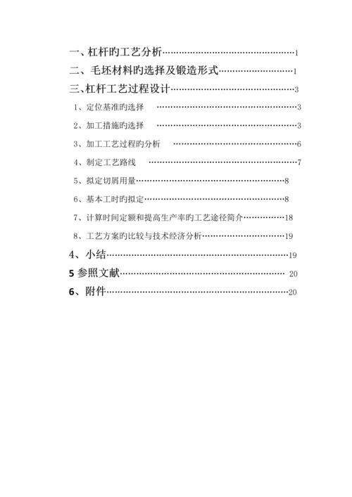 杠杆优质课程设计专项说明书.docx