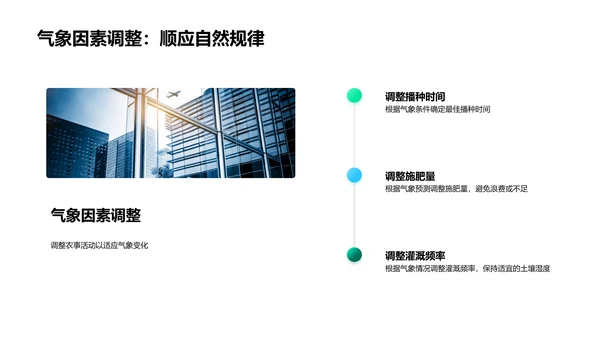 大暑农事科技讲座PPT模板