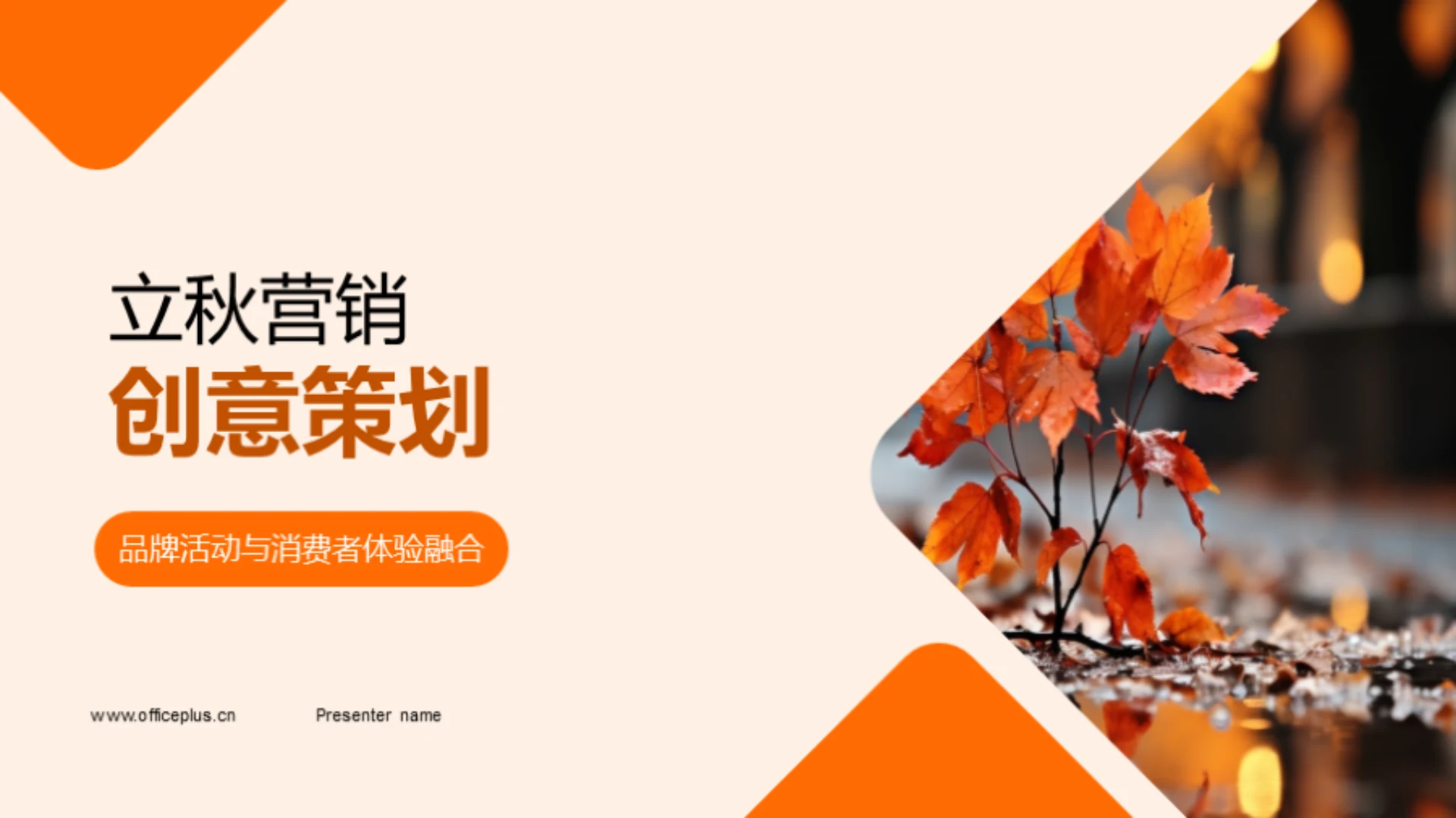 立秋营销创意策划