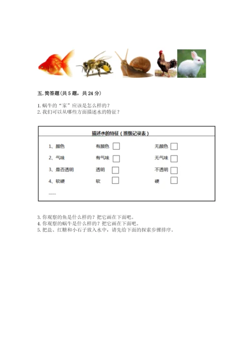 教科版一年级下册科学期末测试卷（重点）.docx