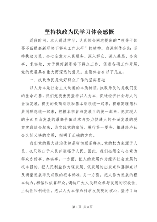 坚持执政为民学习体会感慨.docx