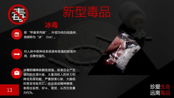 珍爱生命禁毒无毒PPT