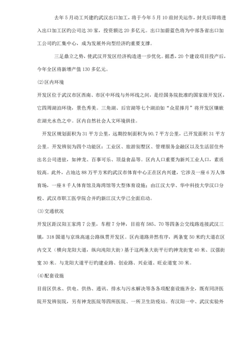 开发区专项项目市场调研综合报告.docx