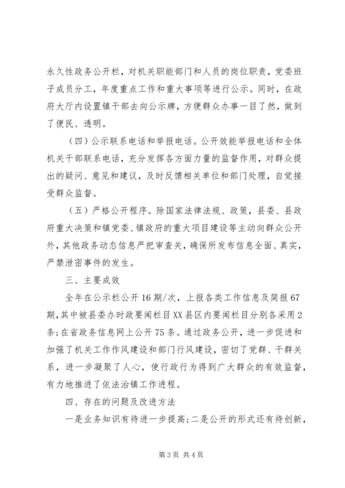 地方政务工作自查报告.docx
