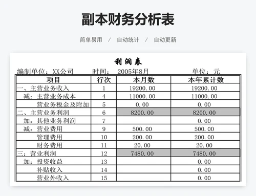 副本财务分析表