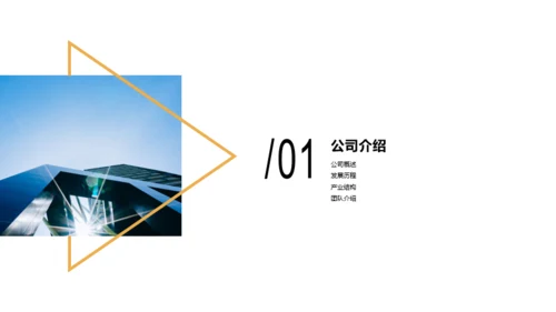 蓝色形状商务风网络有限责任公司简介PPT案例